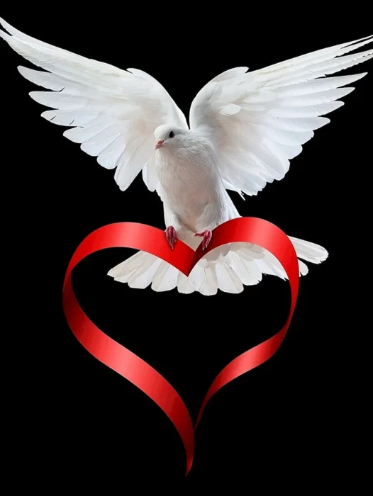 Love Doves Wallpaper