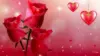 Love Rose Background Wallpaper