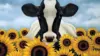 Lowell Herrero Cow Wallpaper