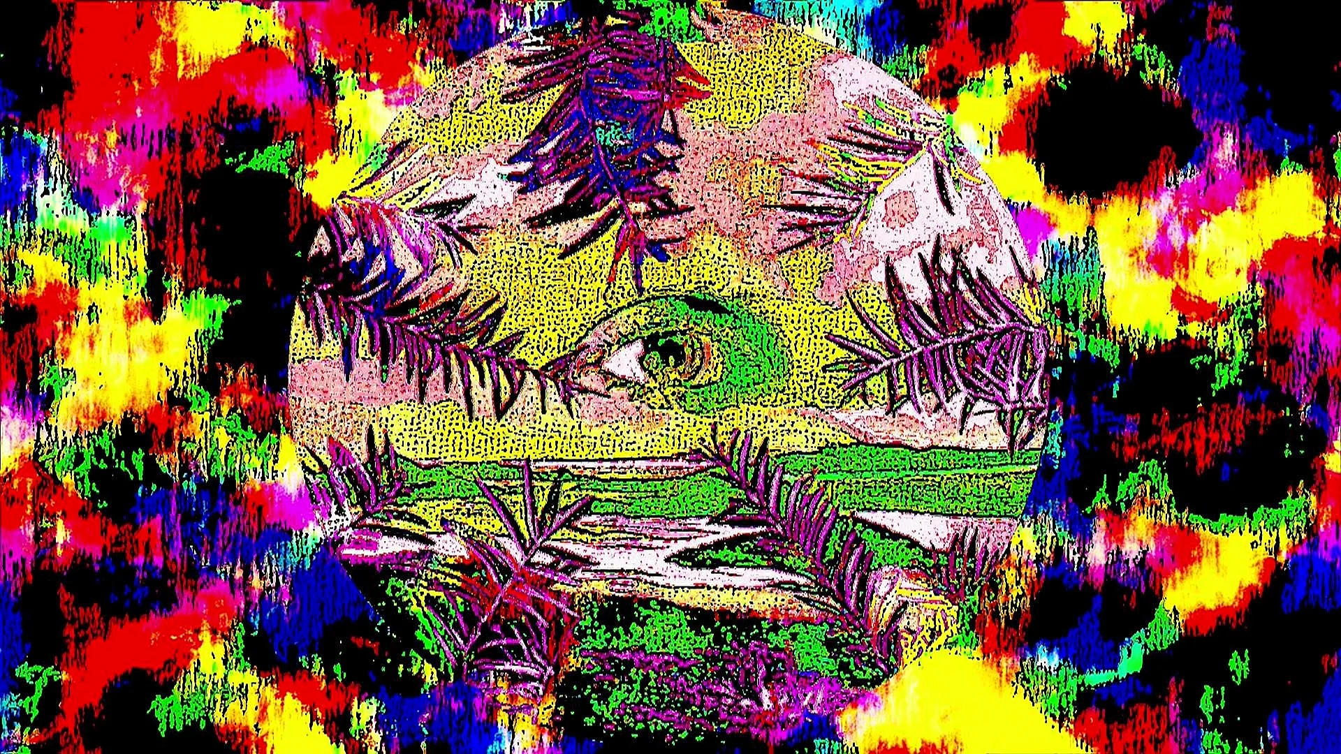 Lsd Trip Wallpaper