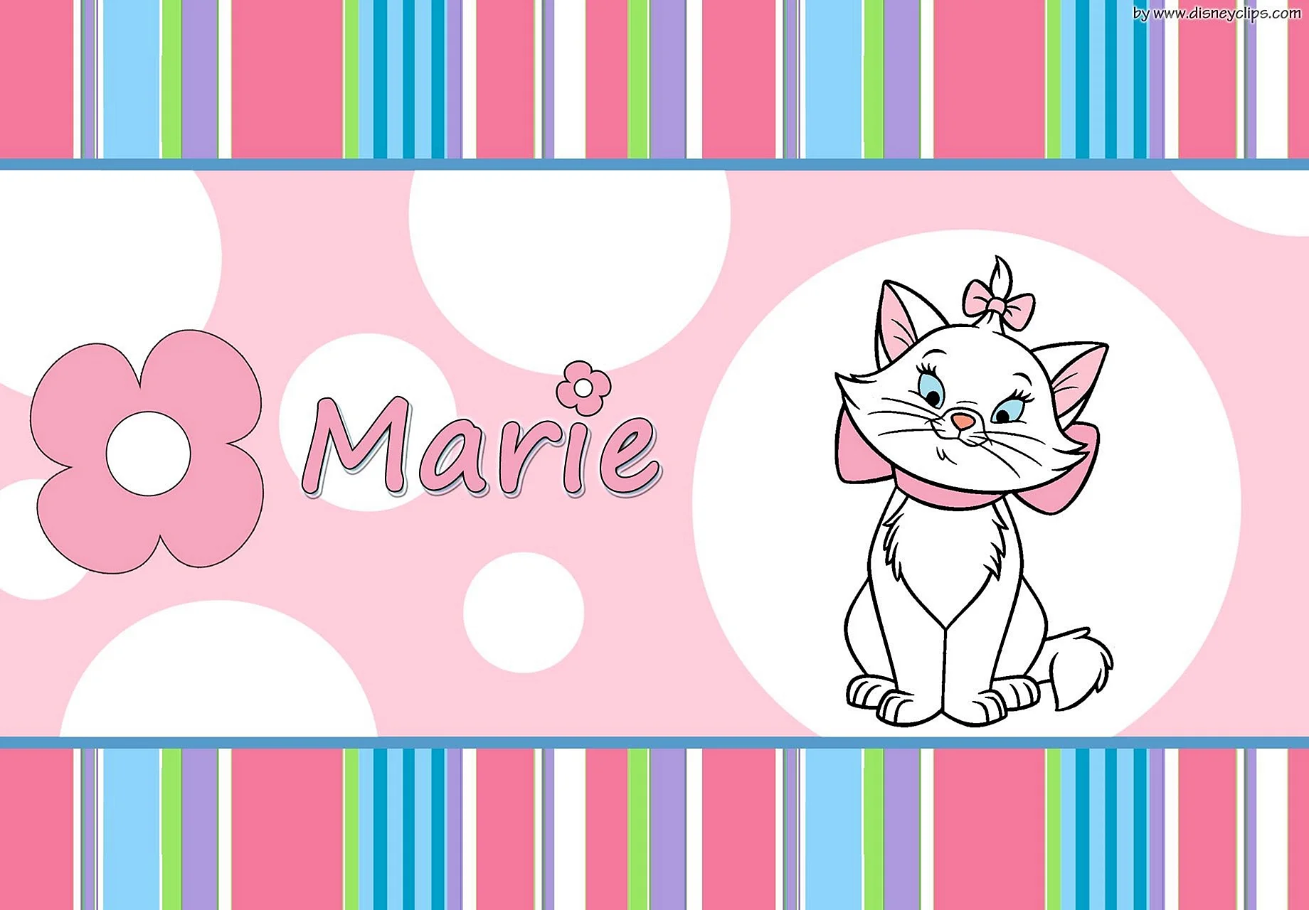 Marie Cat Wallpaper