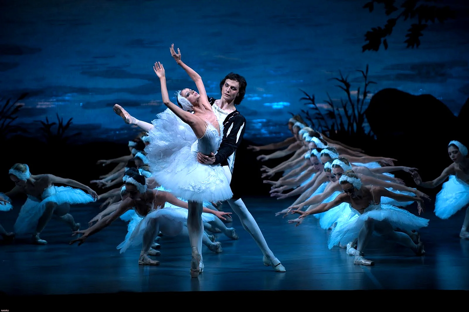 Mariinsky Swan Lake Wallpaper