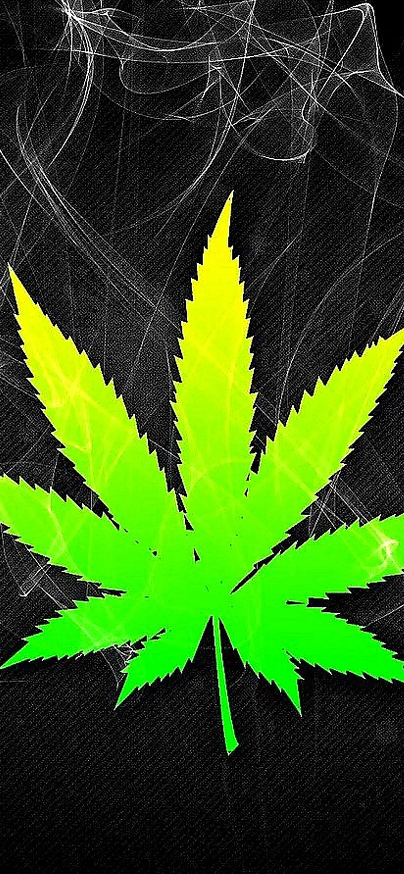 Marijuana Leaf rasta Wallpaper for iPhone 14 Plus
