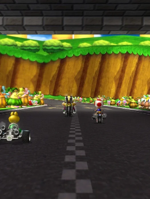 Mario Kart Wii Fondos Wallpaper