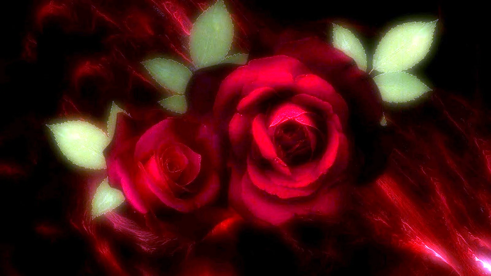 Maroon Rose Wallpaper