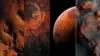 Mars Miui 12 Wallpaper