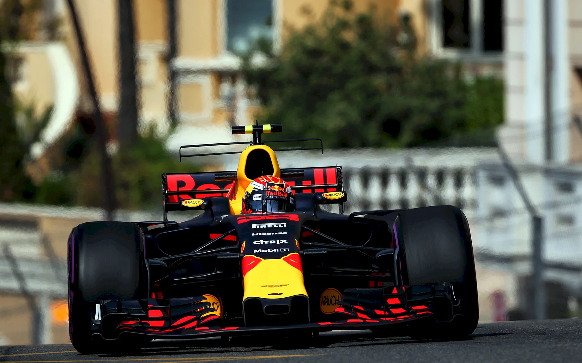 Max Verstappen F1 Racer Wallpaper