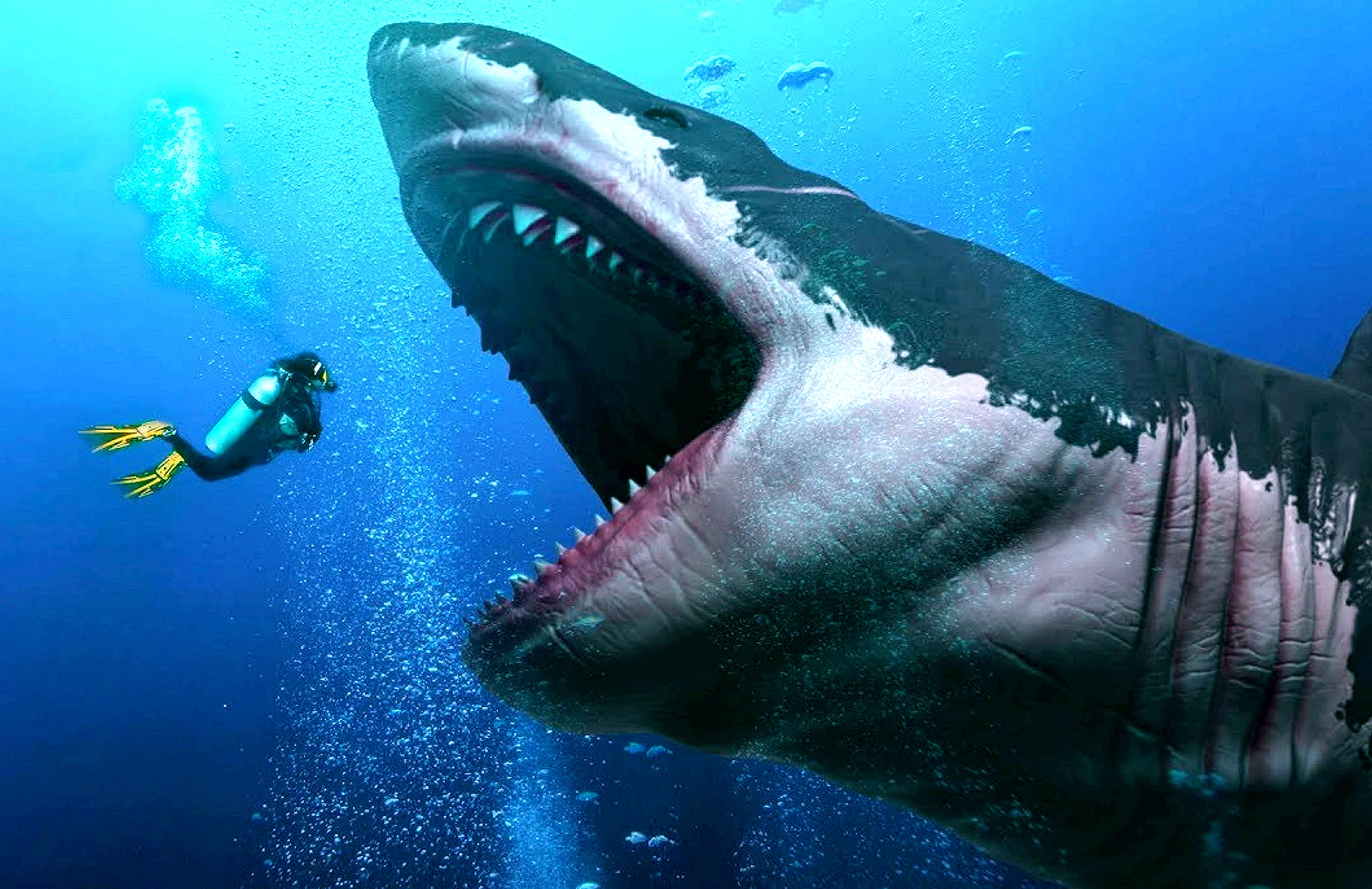 Megalodon Wallpaper