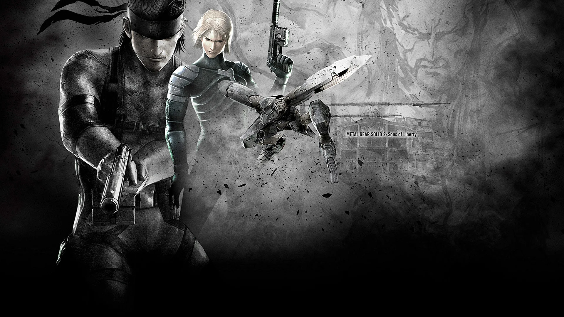 Metal Gear Solid 2 Sons Of Liberty Wallpaper