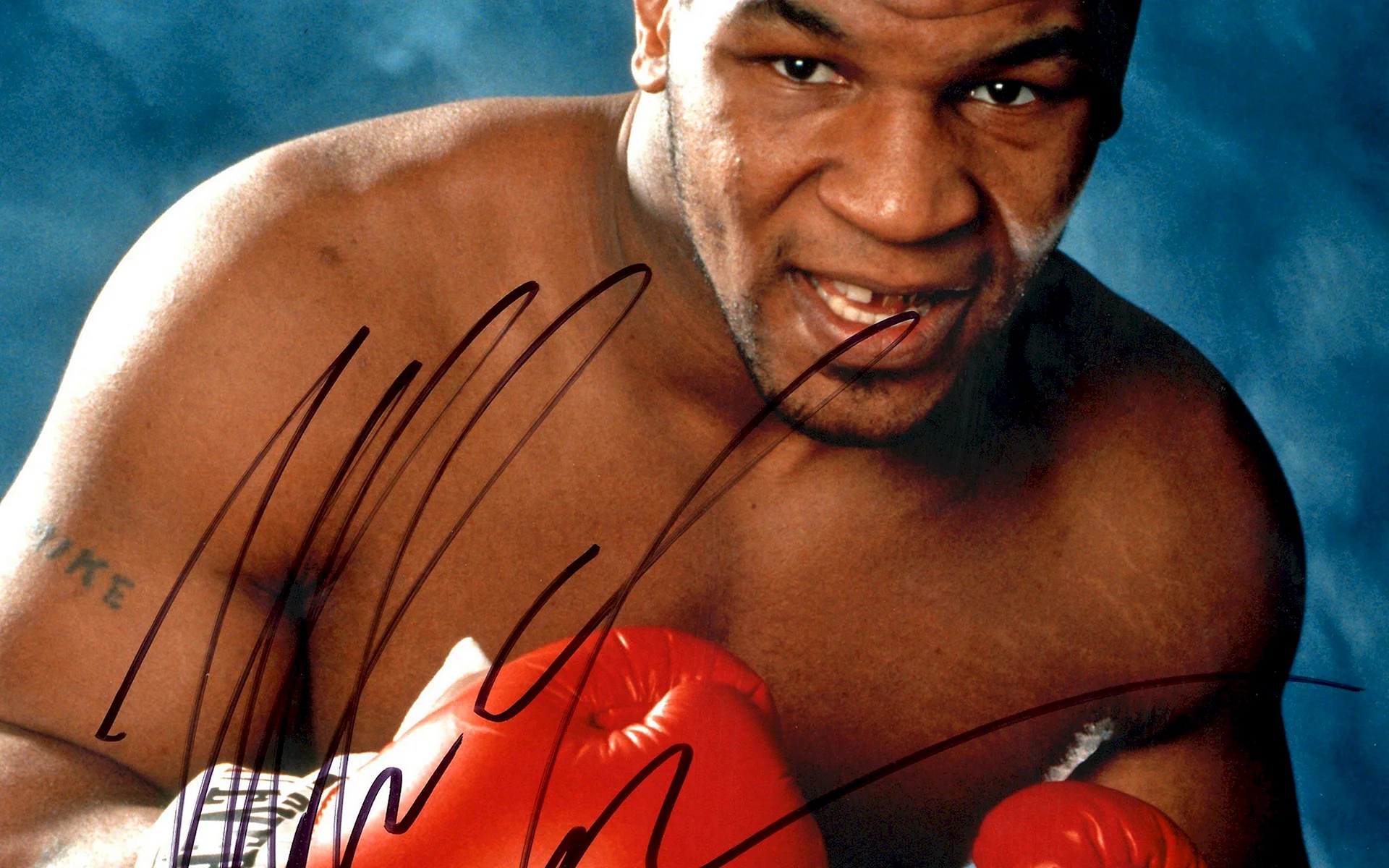 Mike Tyson HD Wallpaper