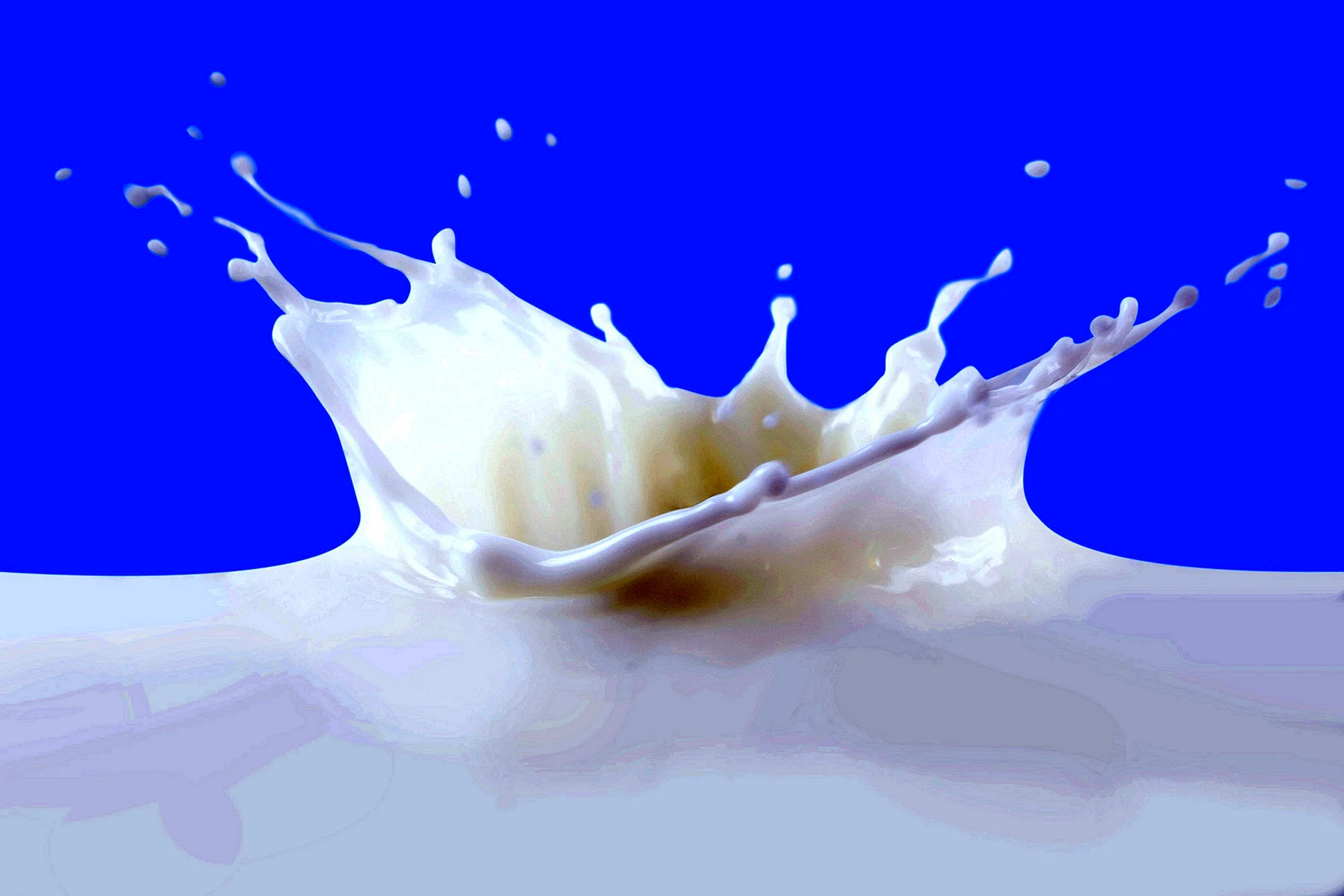 Milk Splash Wallpaper