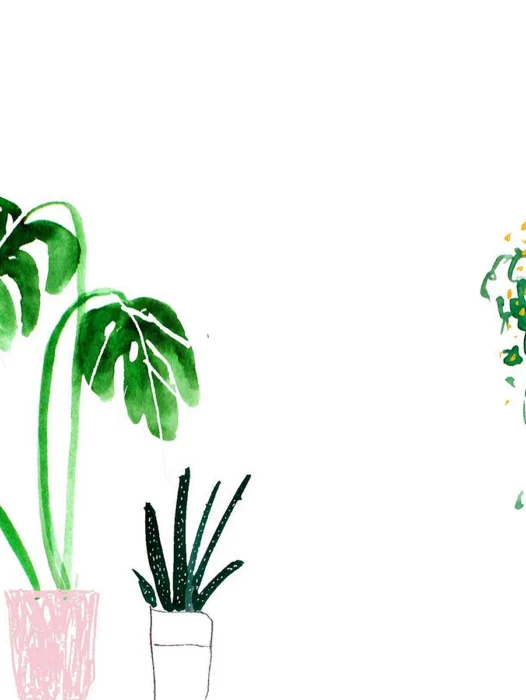 Minimal Plant Wallpaper