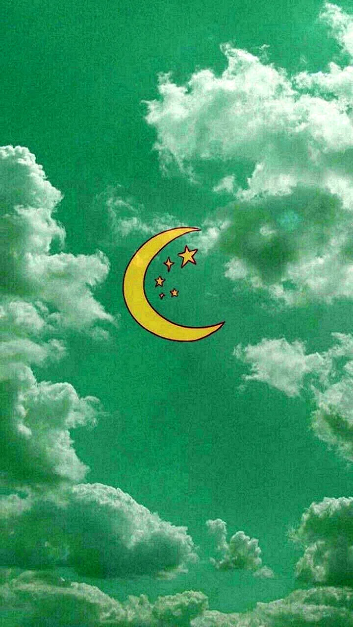 Mint Green Aesthetic Wallpaper