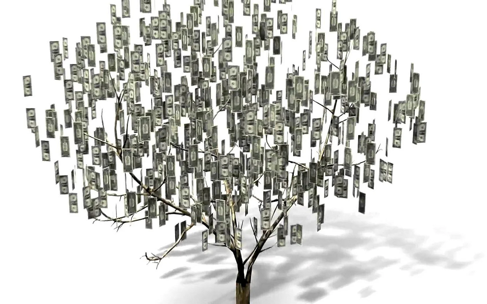 Money Tree Wallpaper