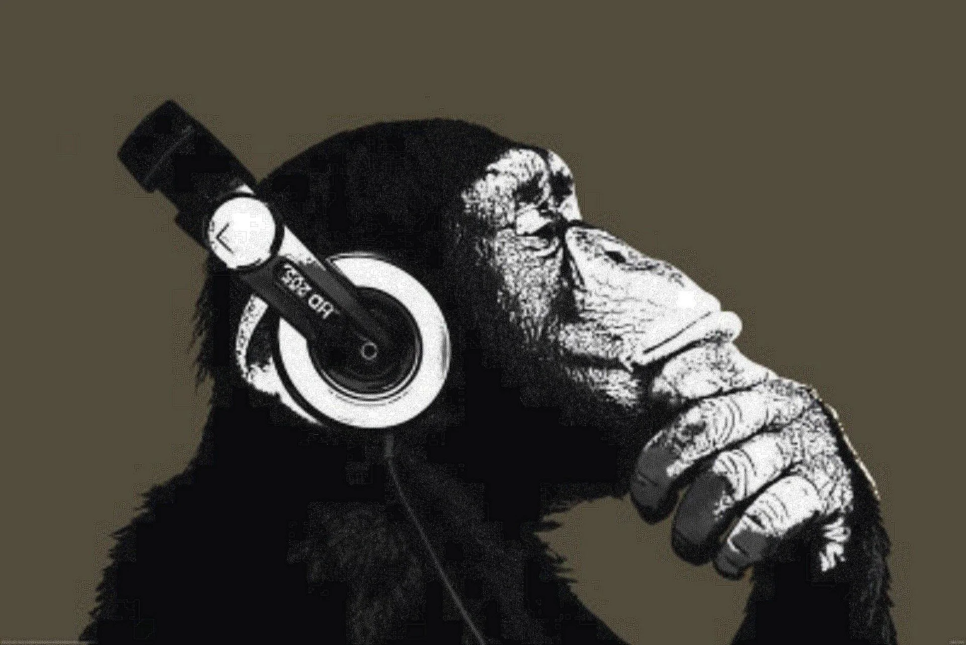 Monkey Headphones Wallpaper