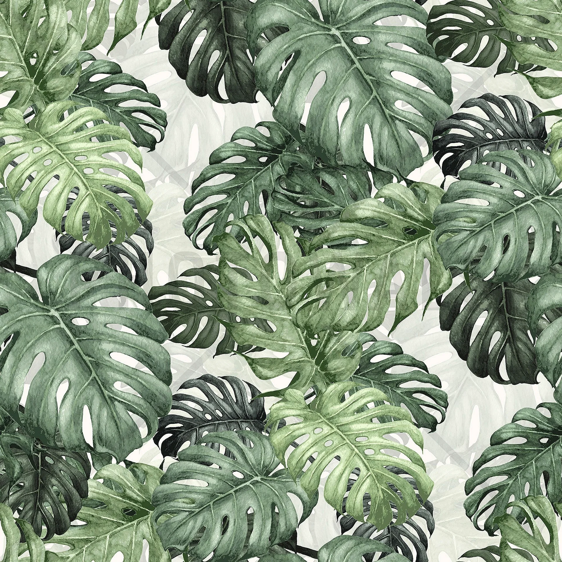 Monstera Wallpaper