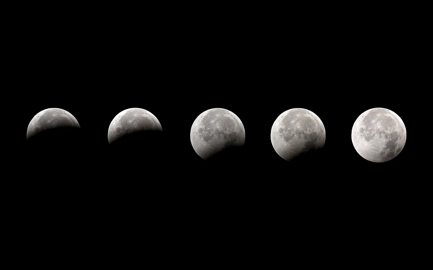 Moon Phases Wallpaper