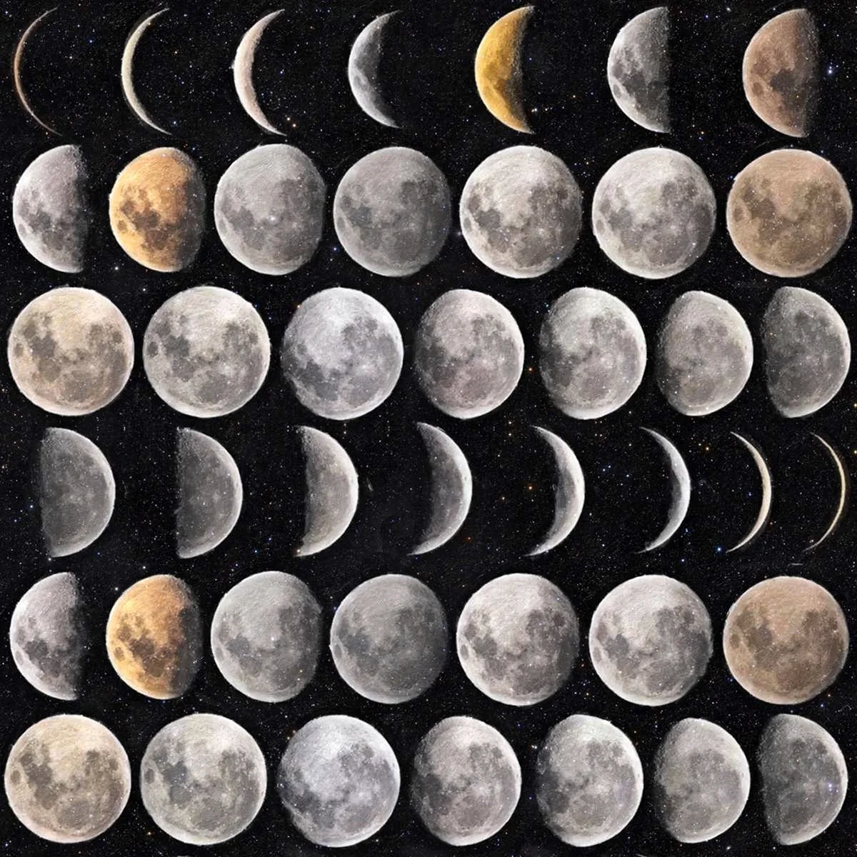 Moon Phases Wallpaper