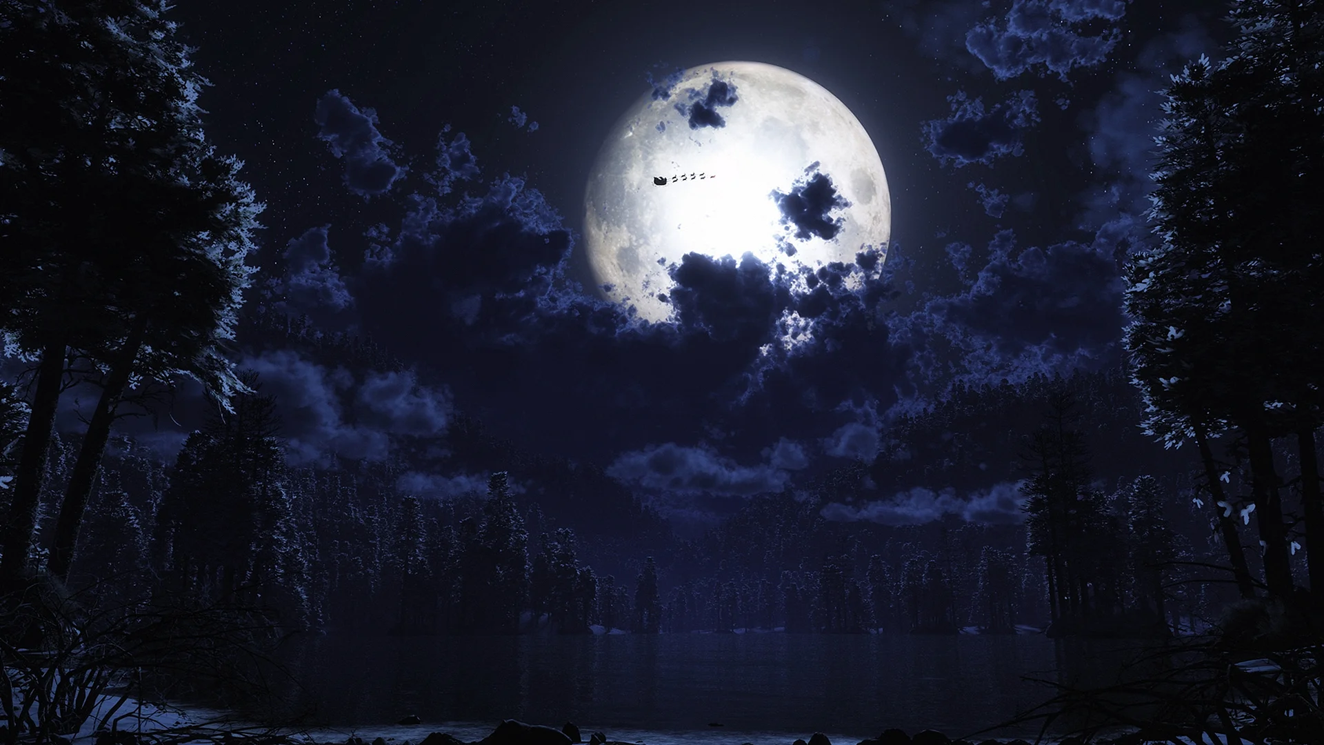 Moonlight Night Wallpaper