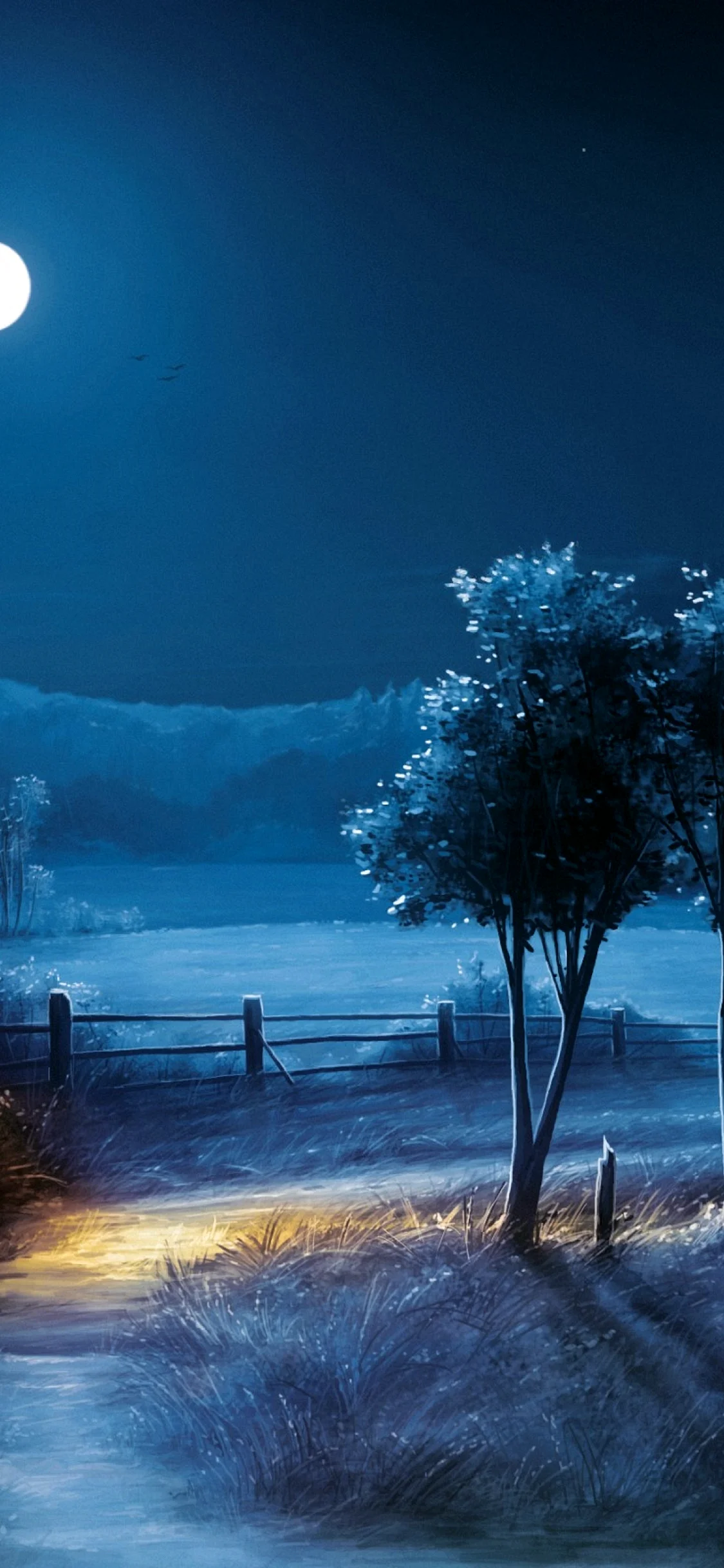 Moonlight Night Wallpaper for iPhone 11 Pro