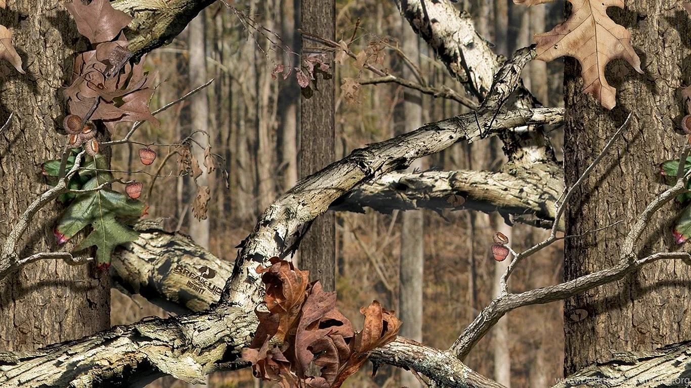 Mossy Oak Wallpaper