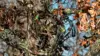 Mossy Oak Camouflage Wallpaper
