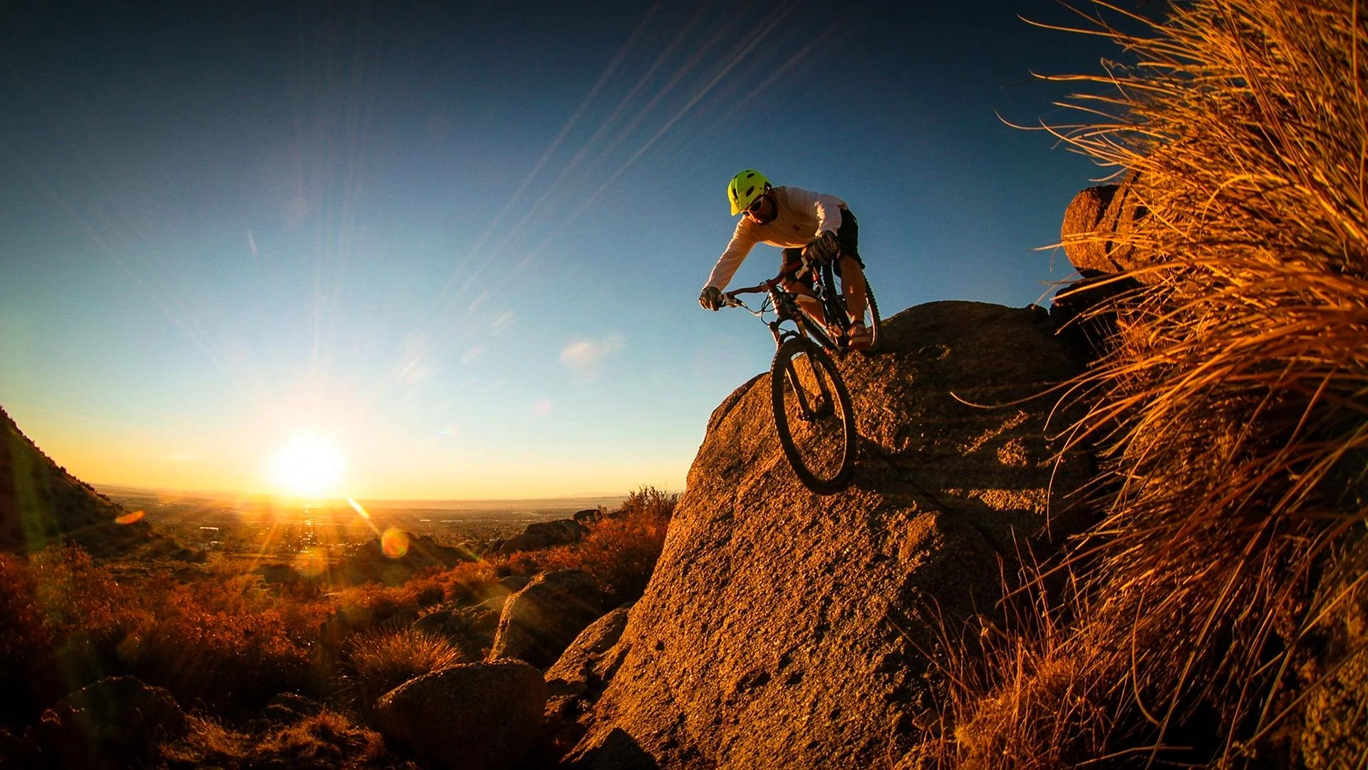 Mountain Bike Wallpaper