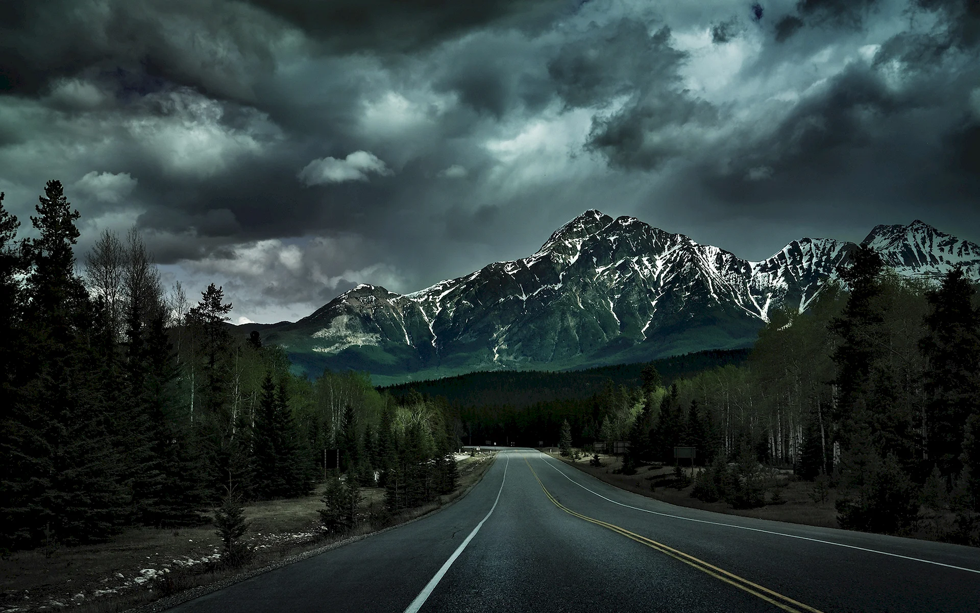 Mountain Forest Road Night Wallpaper