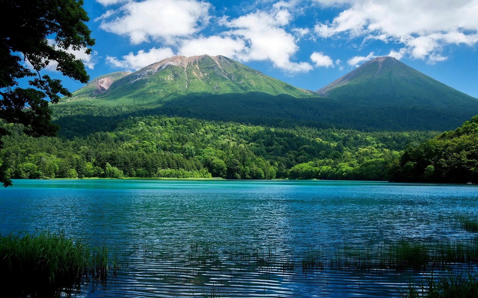 Mountain Lake Forest Wallpaper