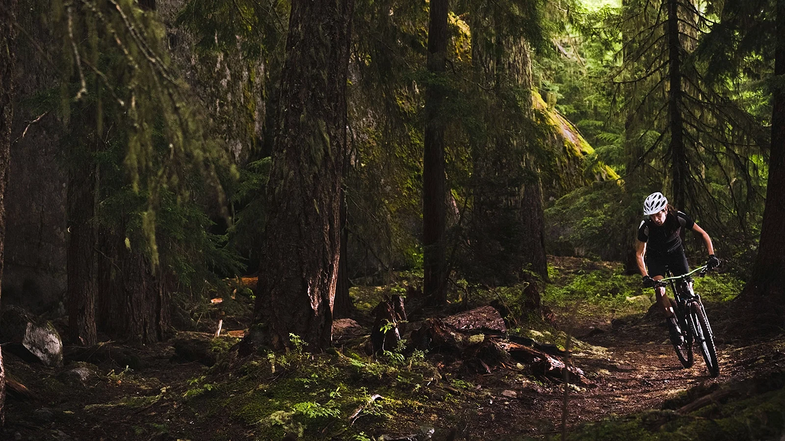 Mtb Wallpaper