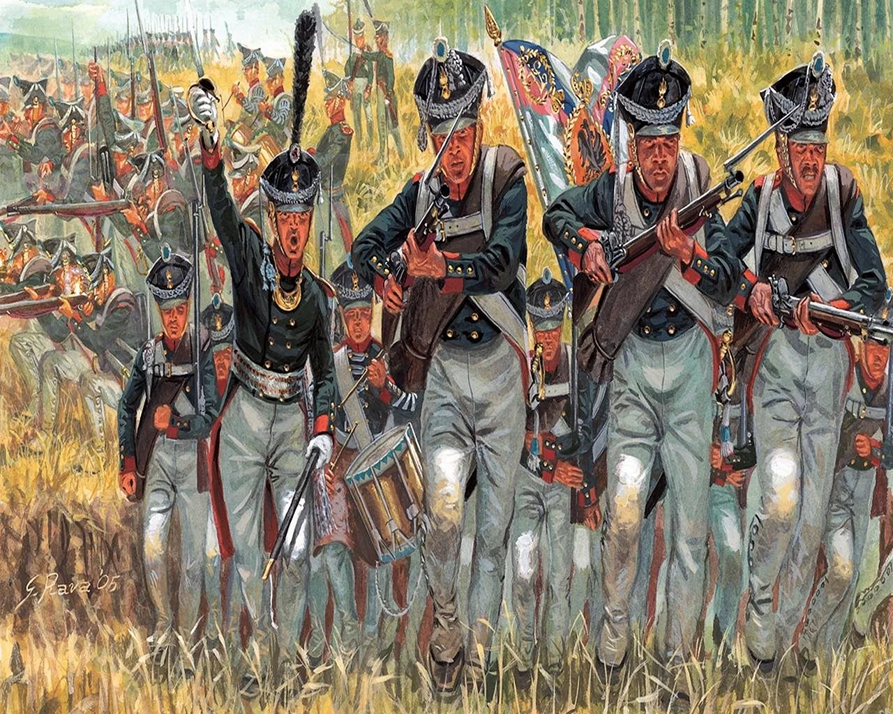 Napoleonic Infantry Wallpaper