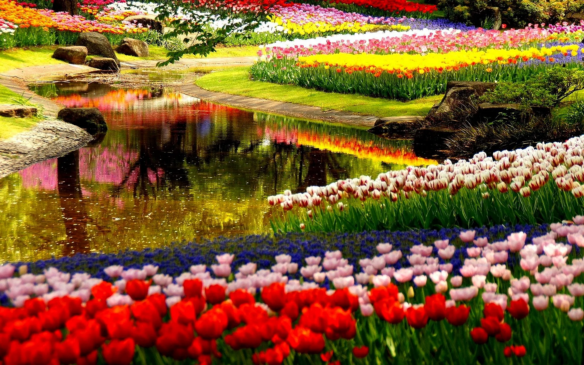 Natural Flower Garden Wallpaper