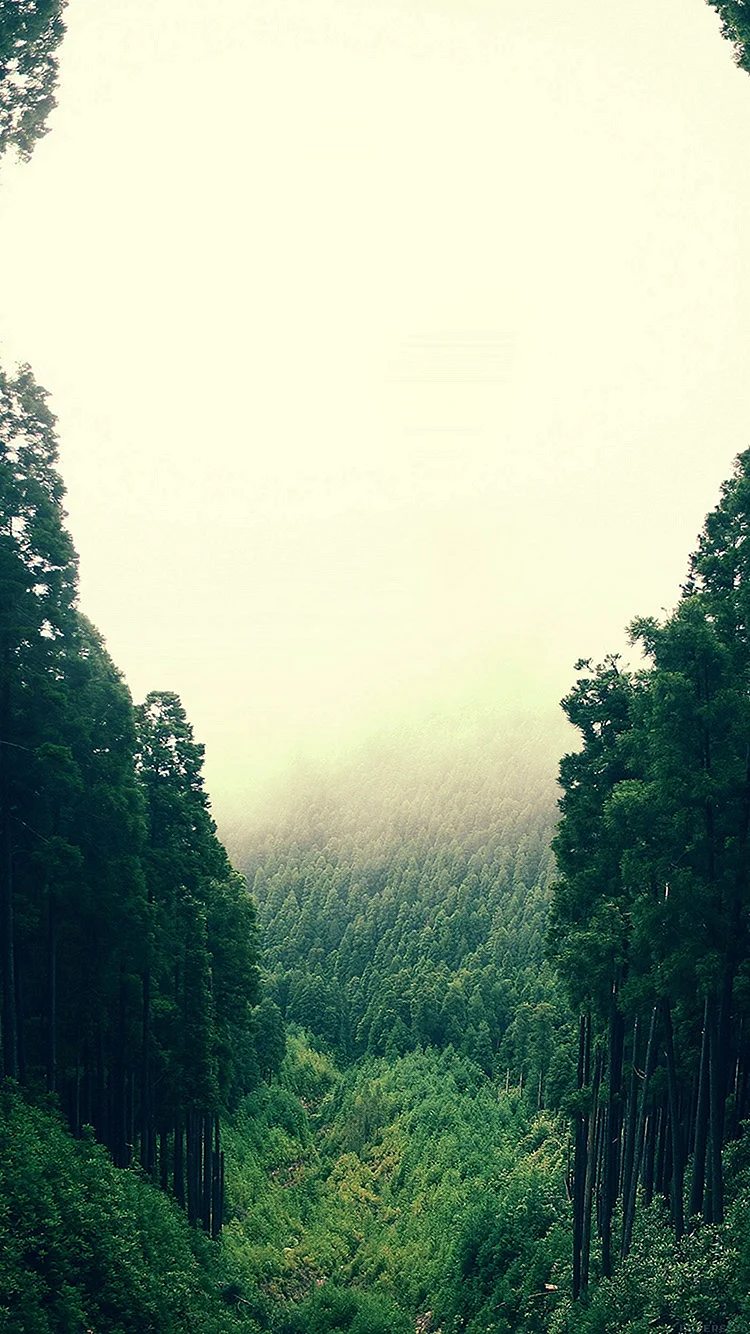 Nature Wallpaper For iPhone