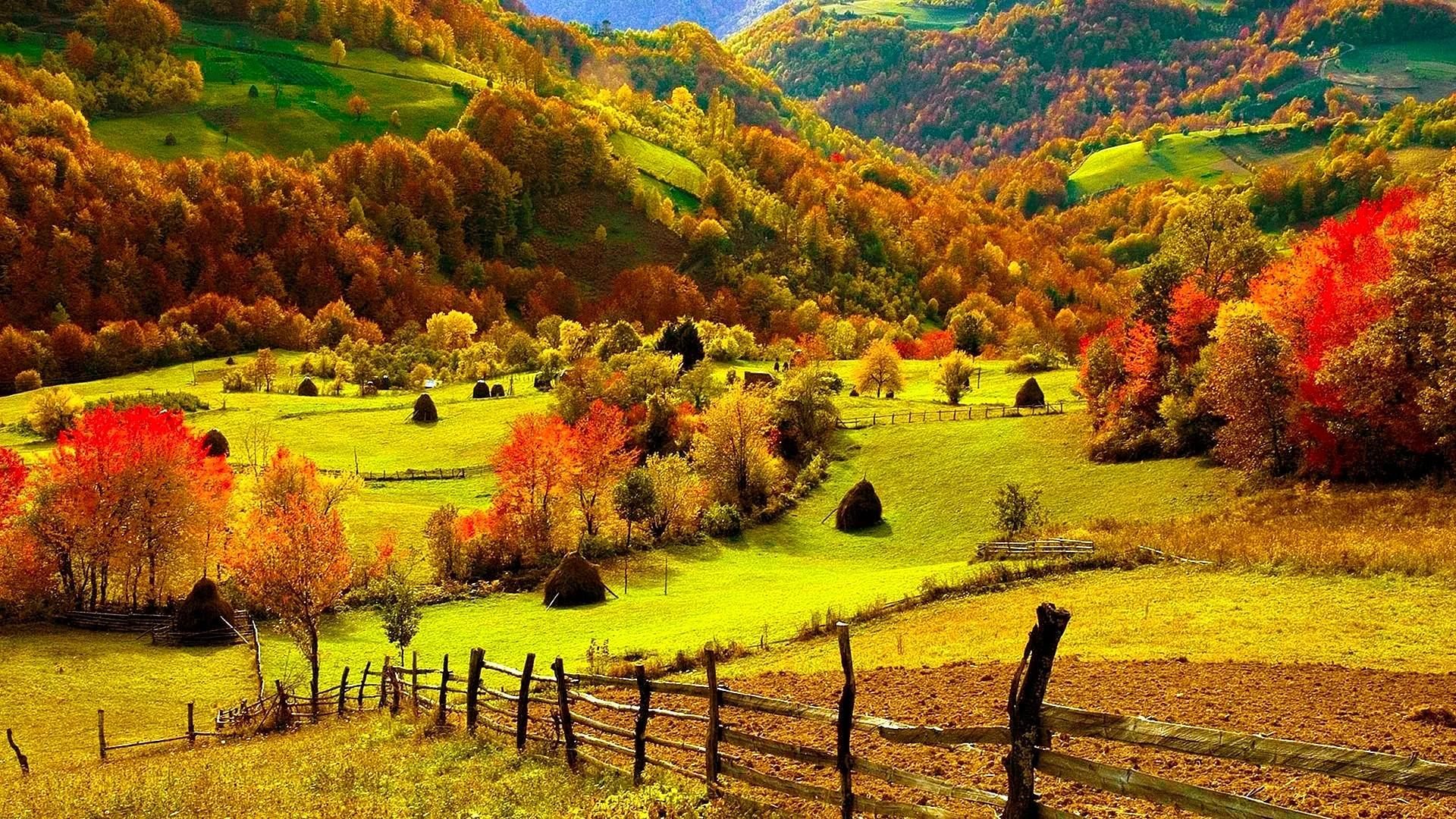 Nature In Autumn Wallpaper