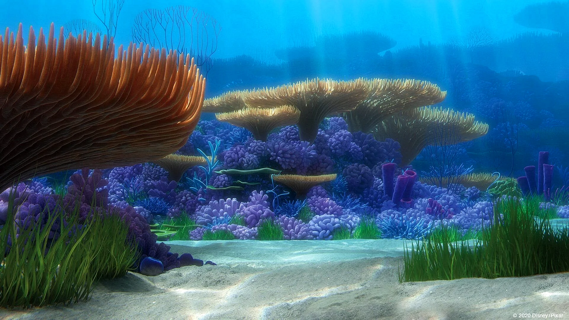 Nemo Wallpaper