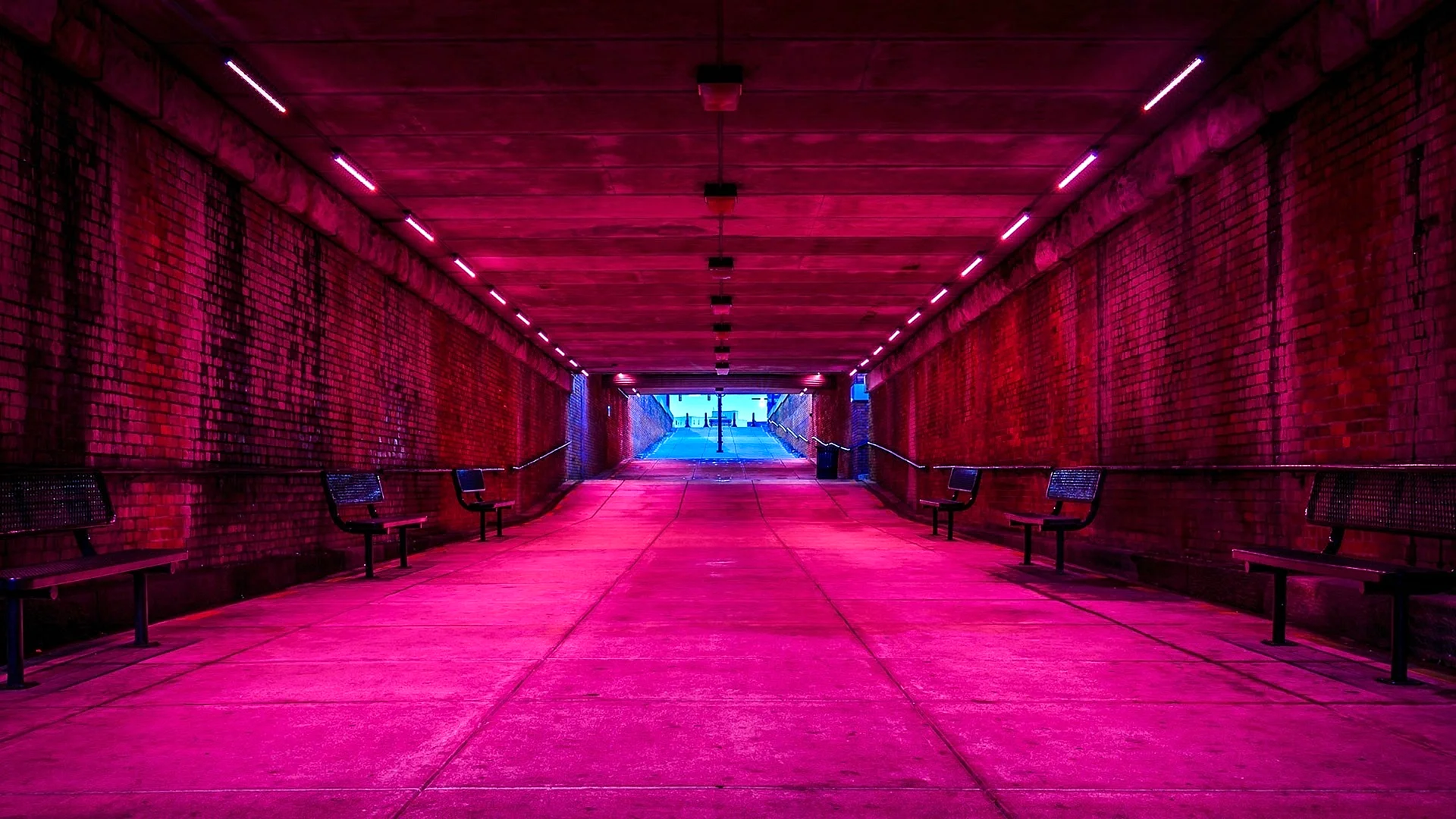 Neon Wall Wallpaper