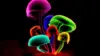 Neon Mushroom Wallpaper