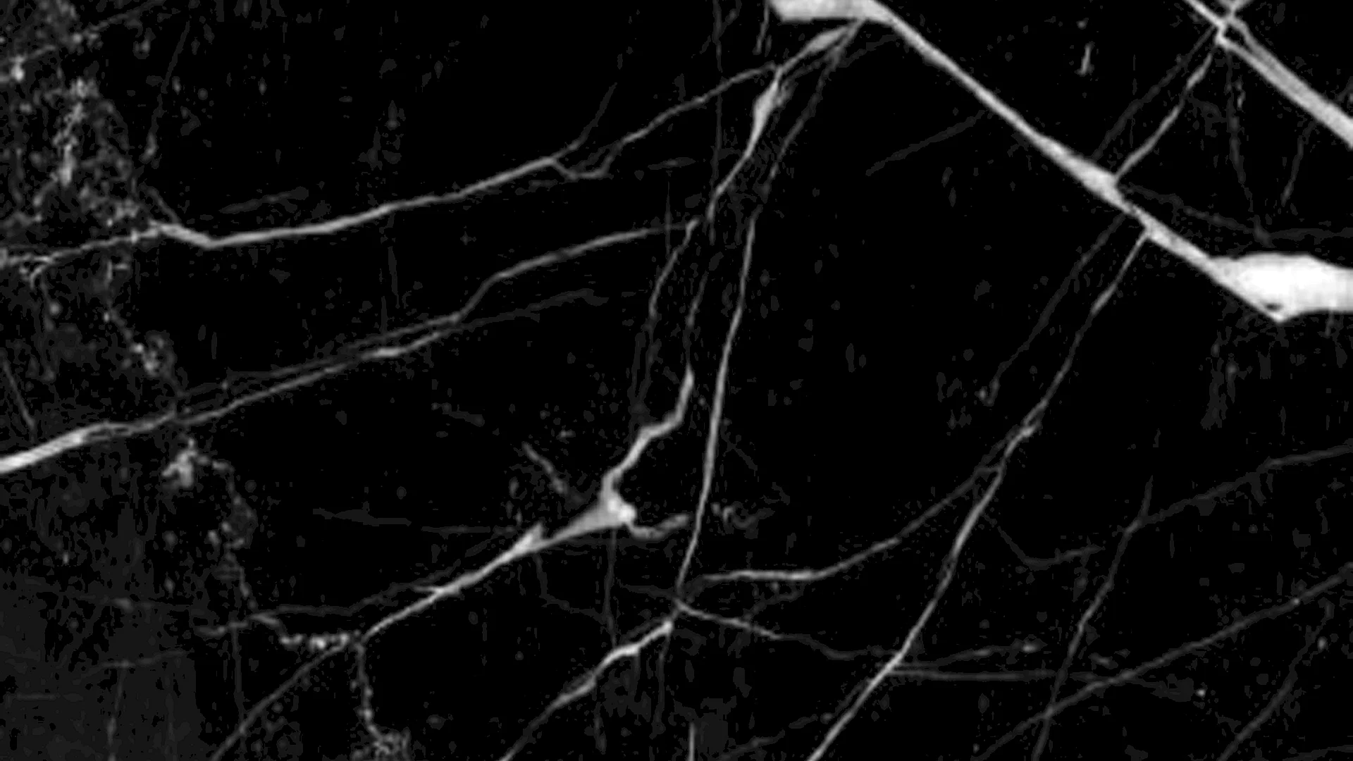 Nero Marquina Wallpaper