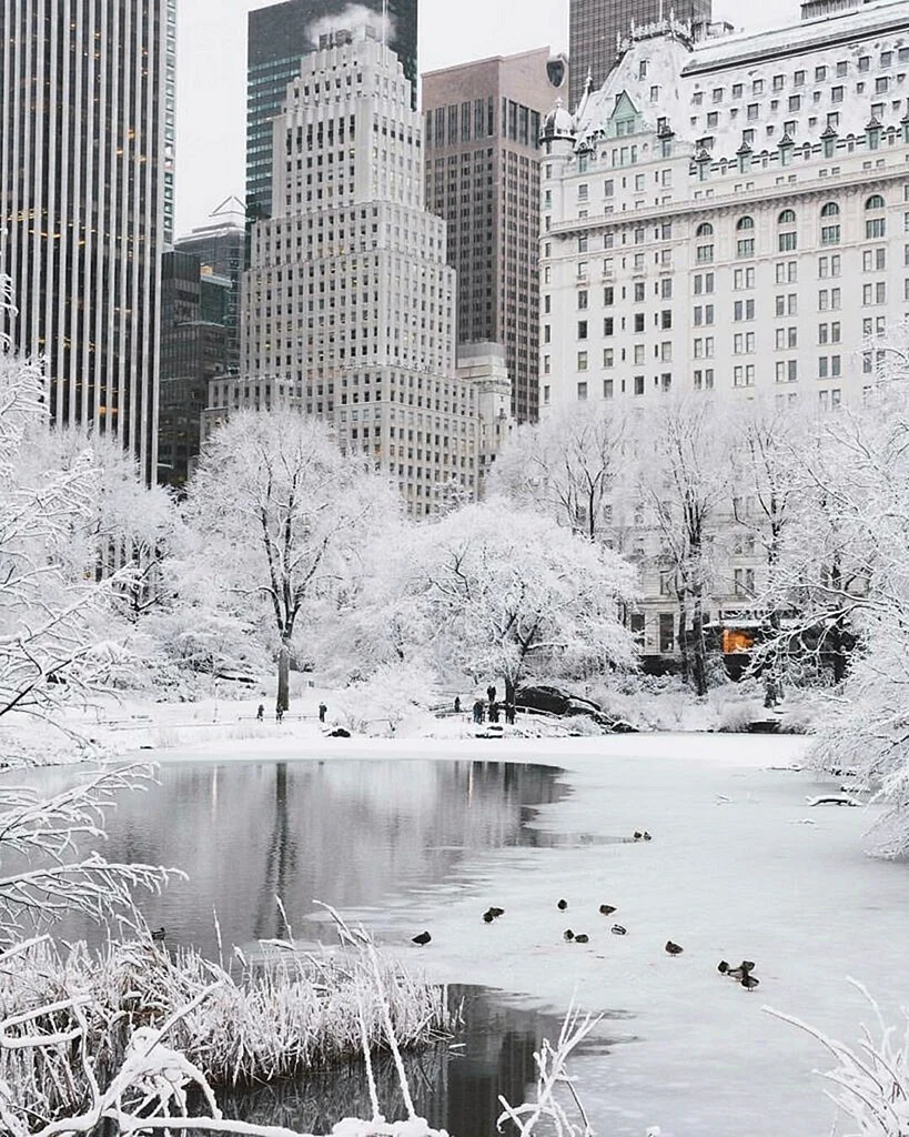 New York Winter Wallpaper For iPhone