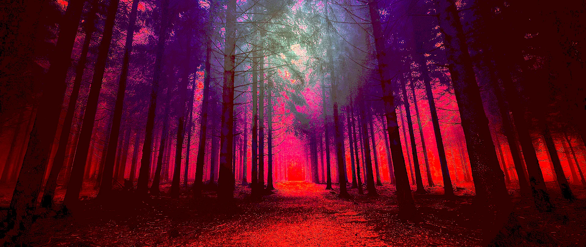 Night Red Forest Wallpaper