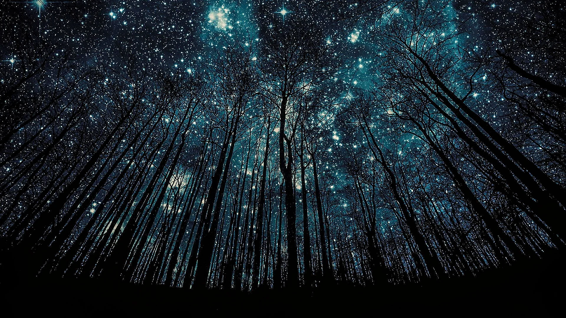 Night Sky Wallpaper