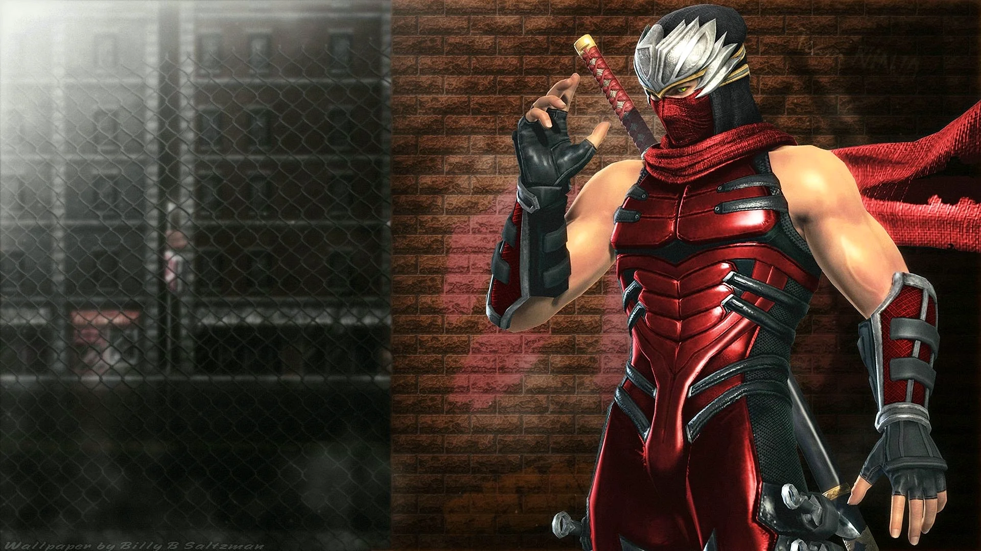Ninja Gaiden Wallpaper