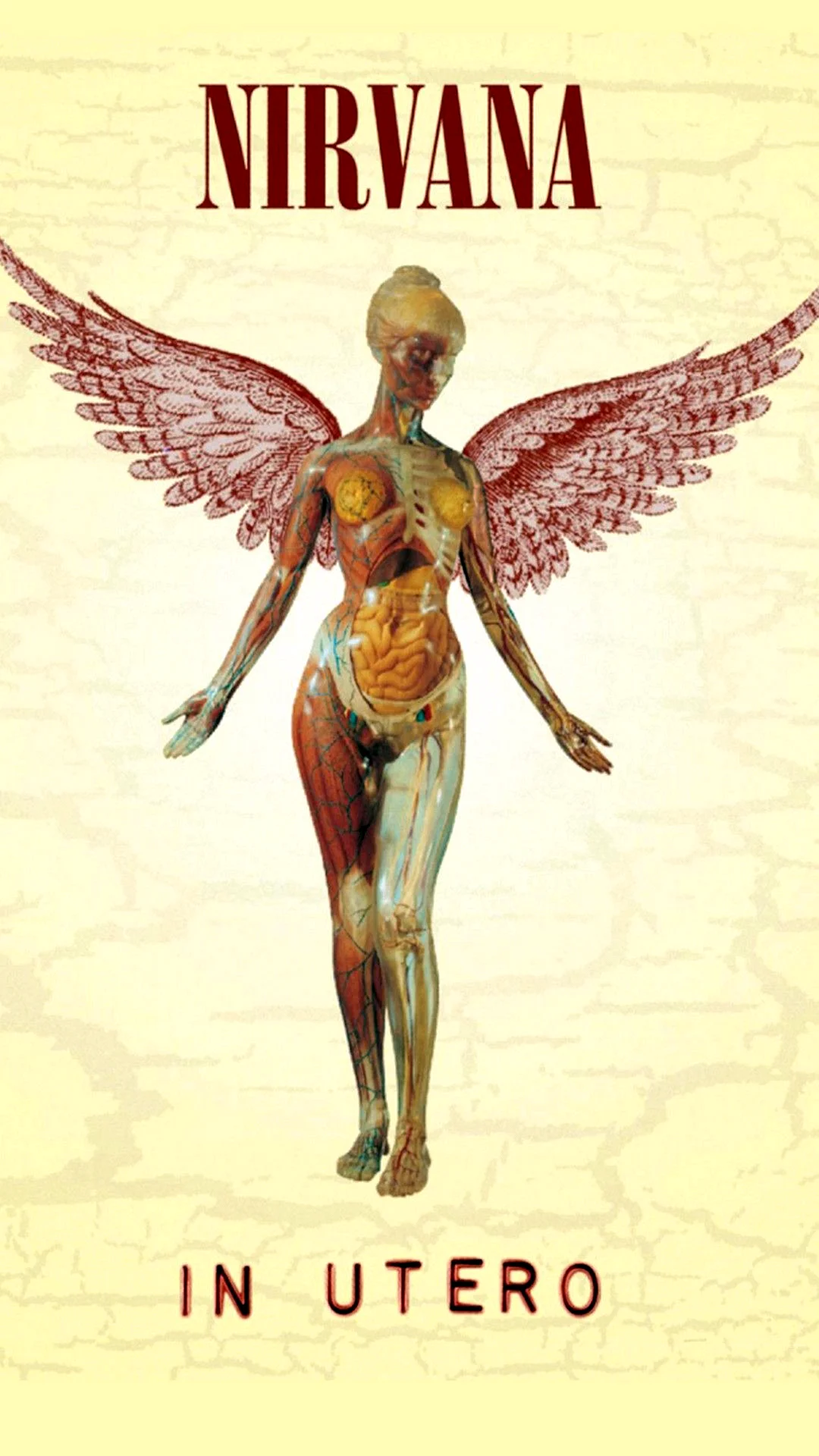 Nirvana In Utero Wallpaper