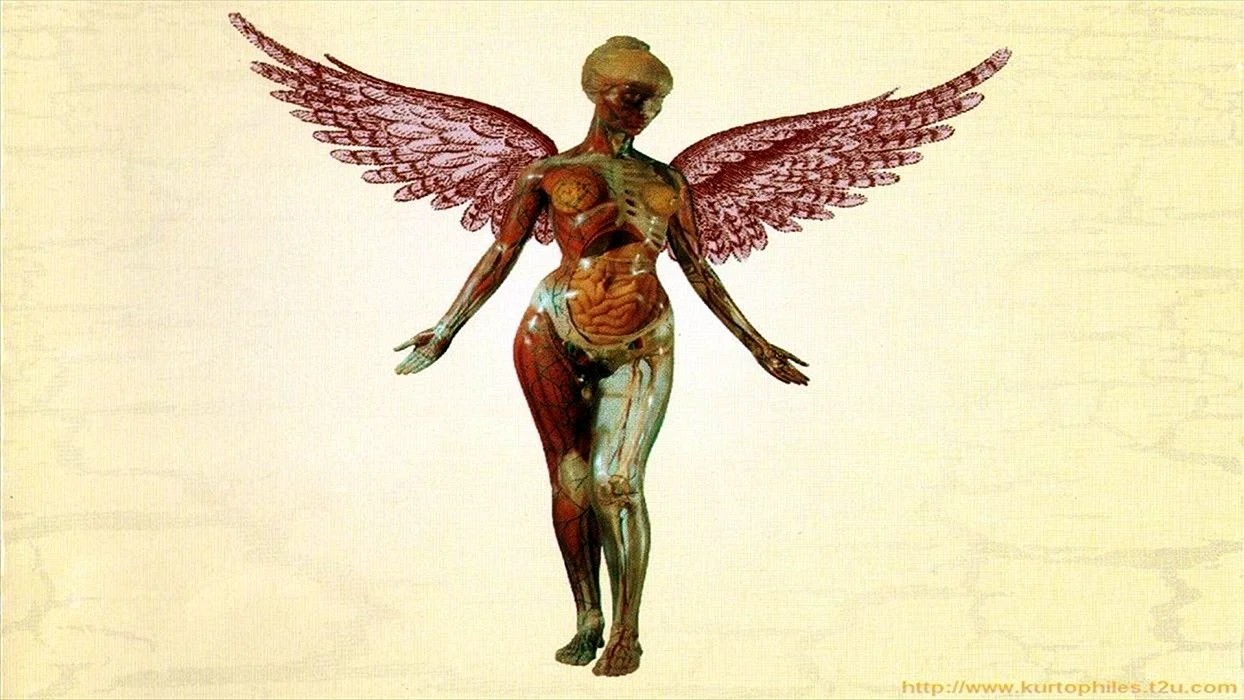 Nirvana Utero Wallpaper