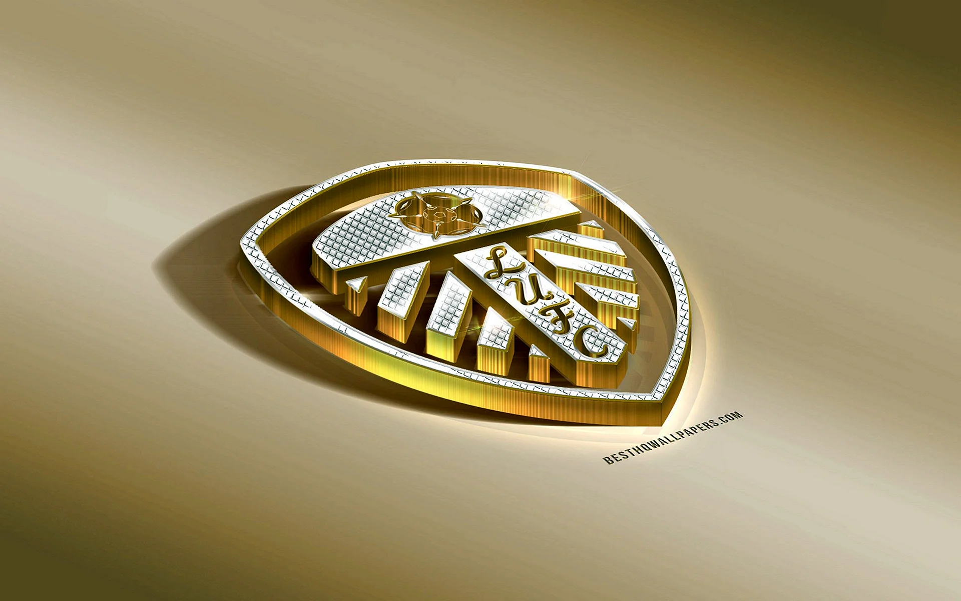Nk Gold Logo Wallpaper
