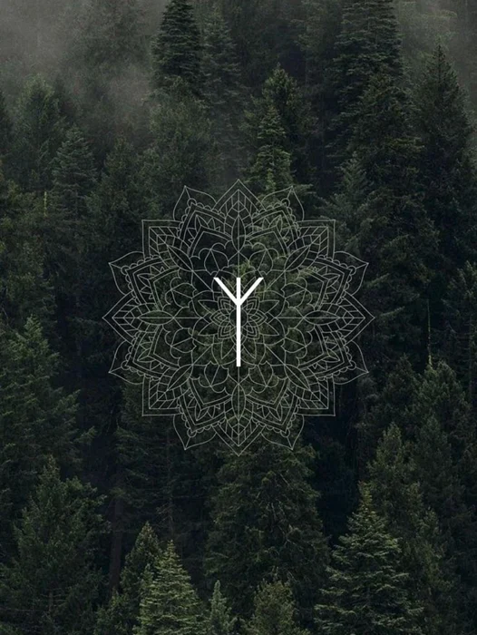 Nordic Runes Wallpaper For iPhone