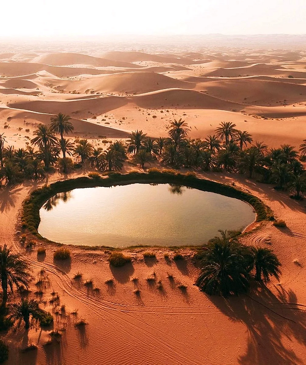 Крупнейший оазис. Оазис Убари Ливия. Пустыня сахара Оазис. Оазис в пустыне Африки. Озера Убари Ливия.
