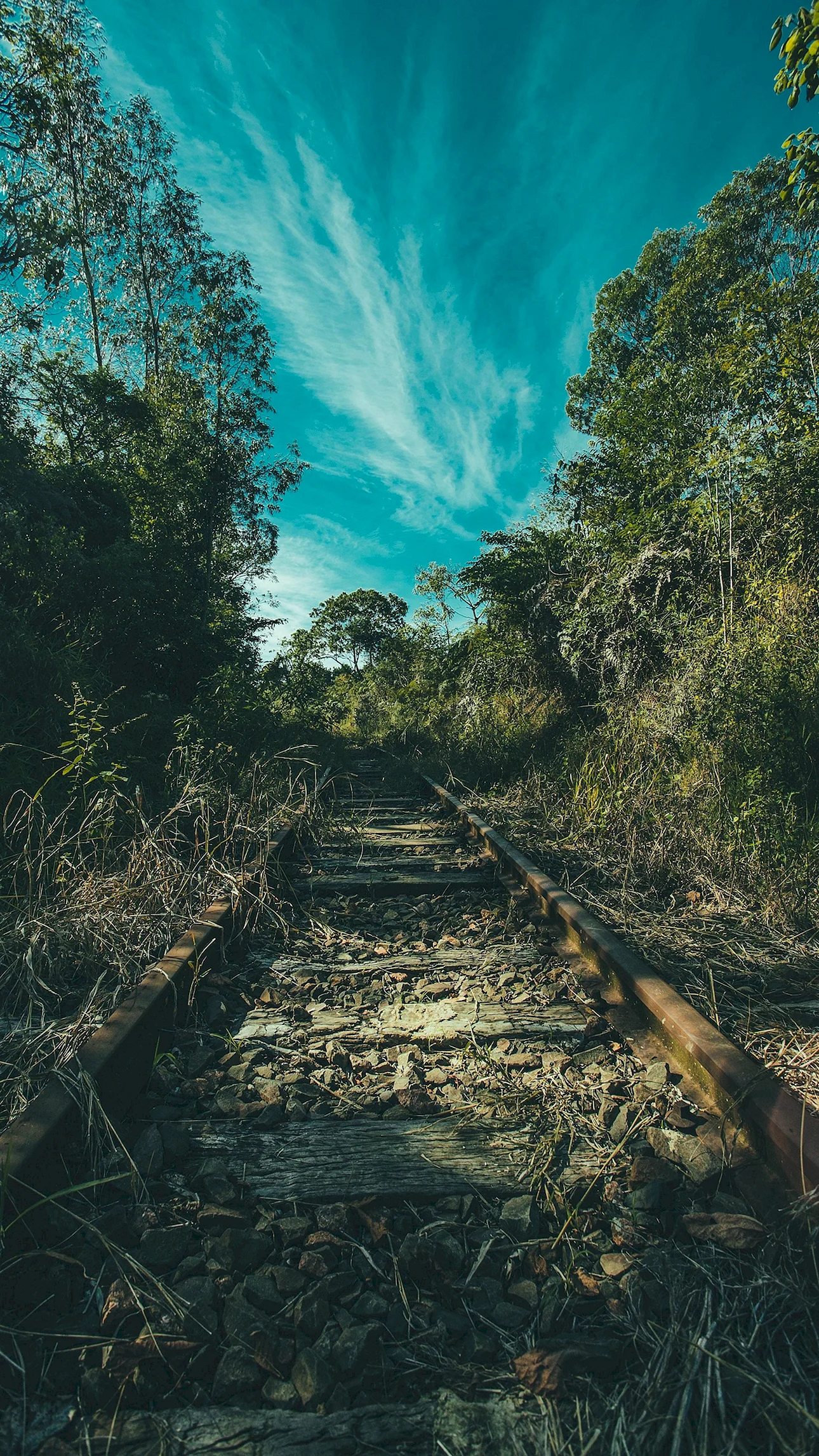Oboi HD 4K Wallpaper For iPhone