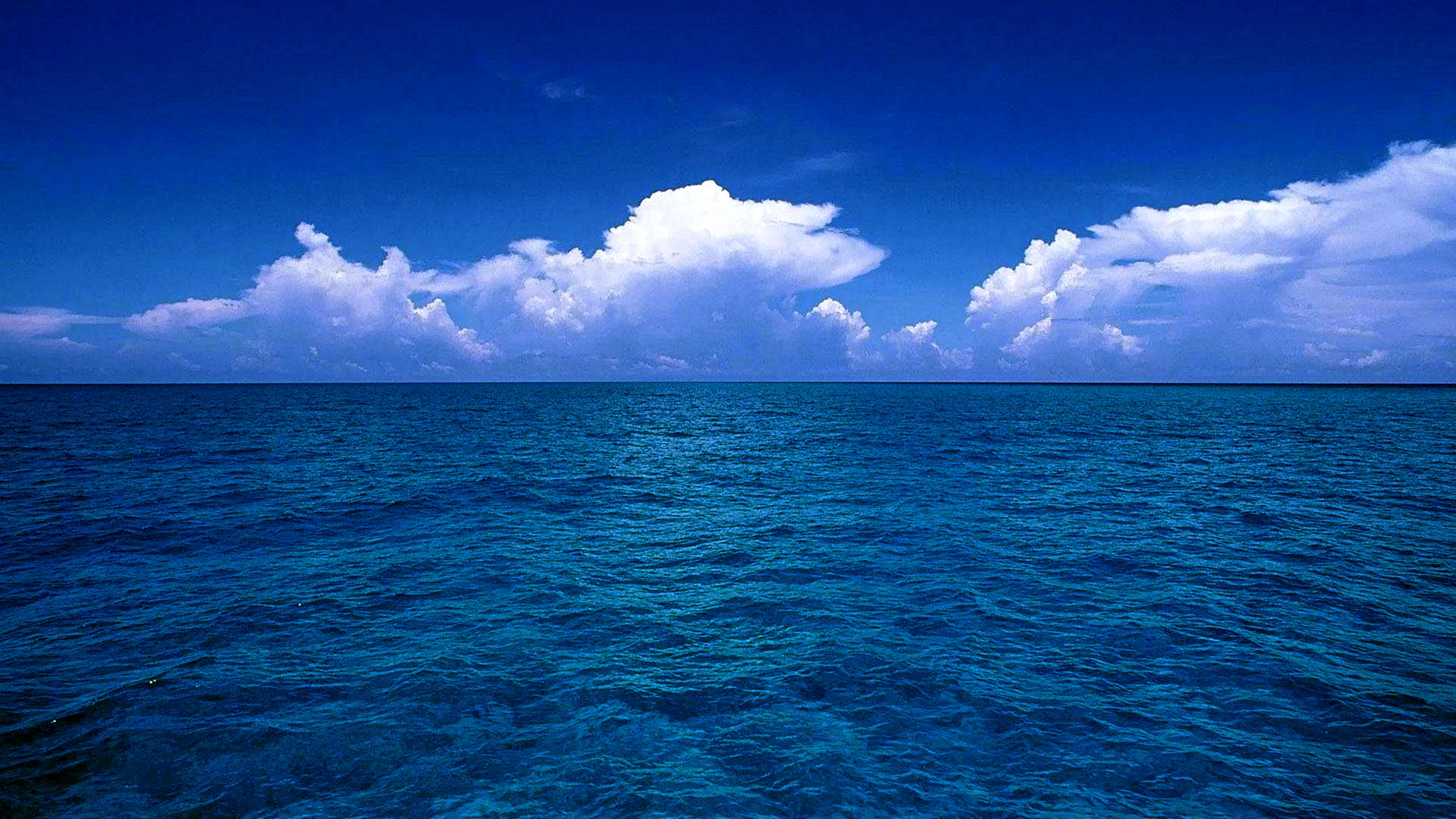 Ocean Wallpaper