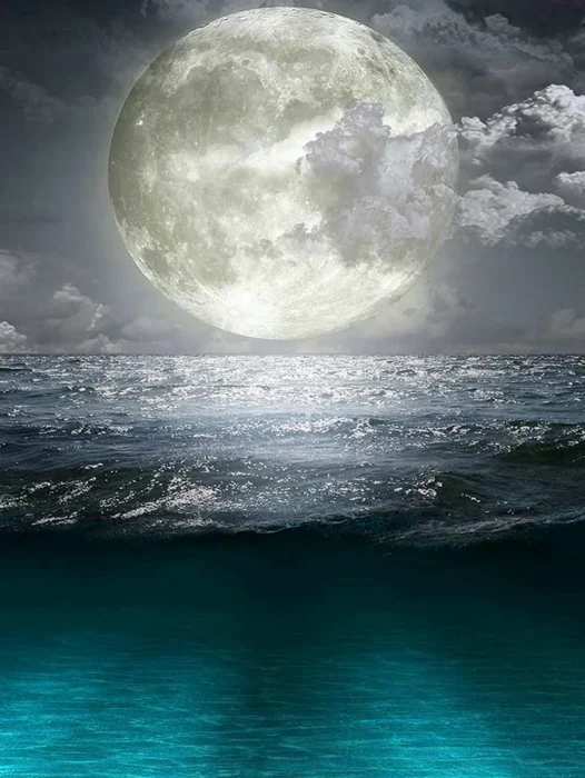 Ocean Moon Wallpaper